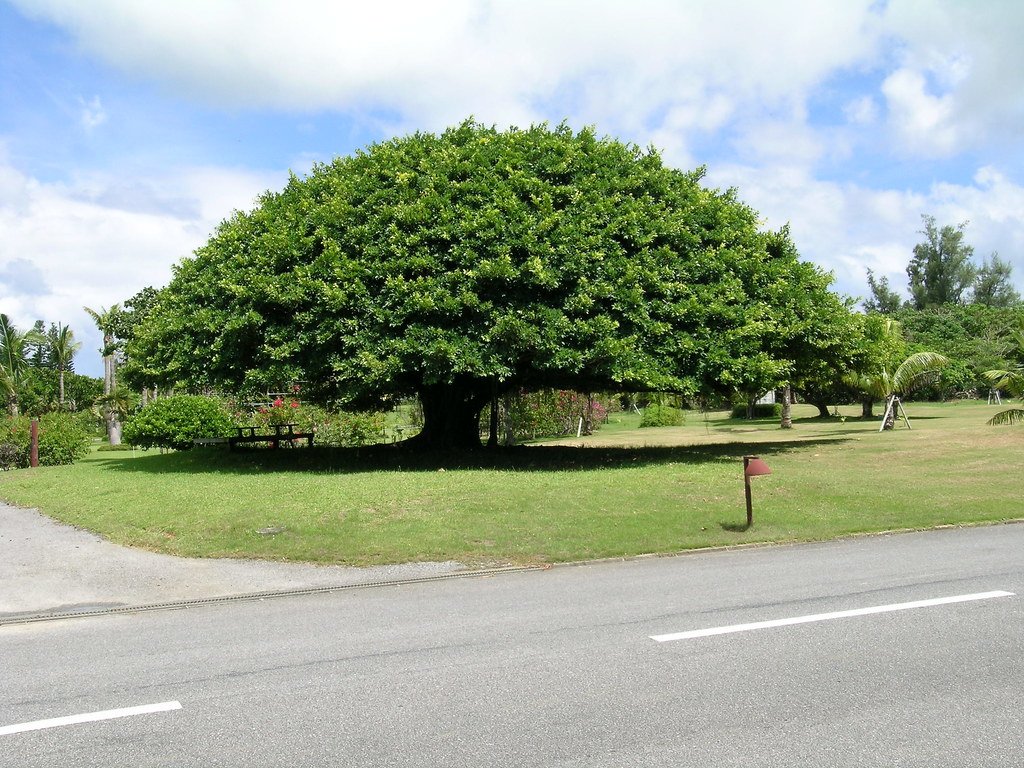 🏛️ 옛 숭원사 첫째 문 및 돌담 (구 소겐지 다이이치몬 오요비 세키쇼) 이미지 7